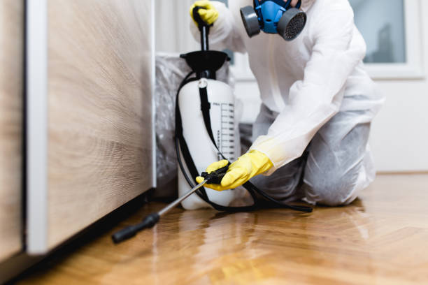 Best Affordable Pest Control Services  in Ferguson, MO