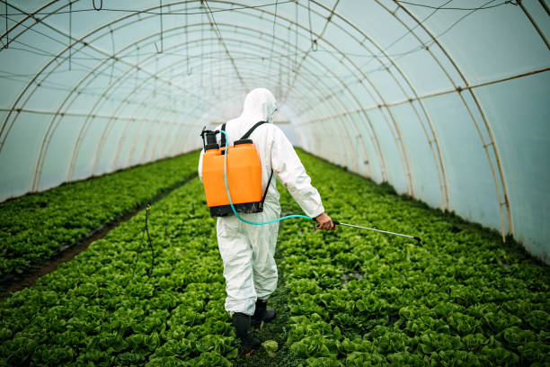 Best Pest Removal Services  in Ferguson, MO