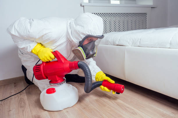 Best Termite Control Services  in Ferguson, MO