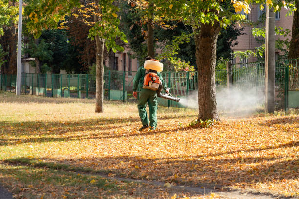 Best Commercial Pest Control Services  in Ferguson, MO