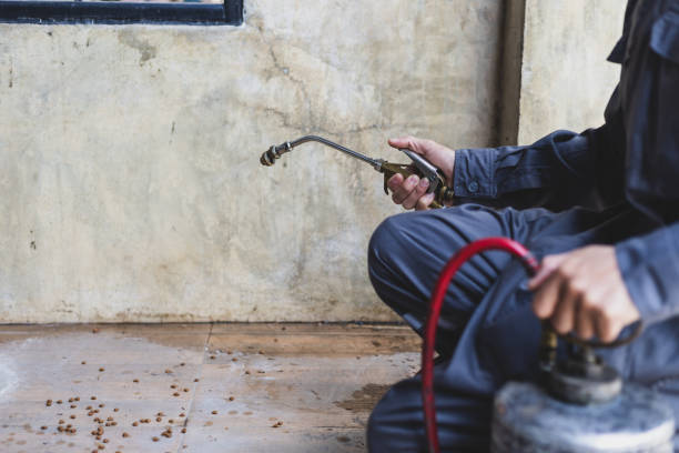Best Termite Control Services  in Ferguson, MO